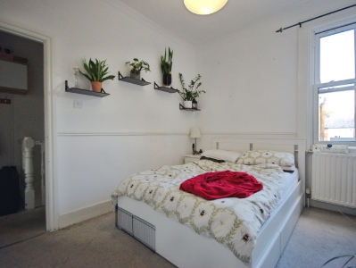 Picture 8